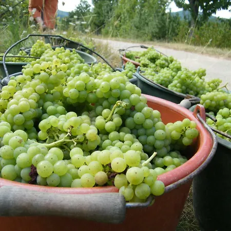 Wein- Und Gastehaus Fabio דירה *